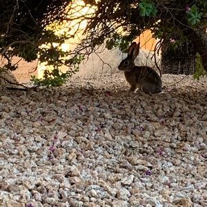 Meet your Posher, Ellie